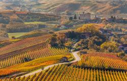 Piedmont in the fall