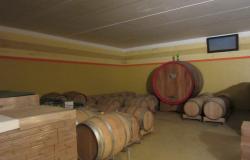 Euganean Hills: Winery - ref.78 5