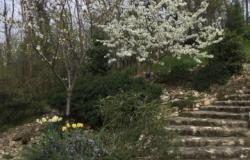Euganean Hills- ‘The tower’, a historic building in a stunning setting! ref.90 3