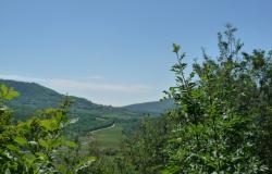 Euganean Hills- ‘The tower’, a historic building in a stunning setting! ref.90 12