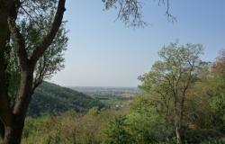 Euganean Hills- ‘The tower’, a historic building in a stunning setting! ref.90 13