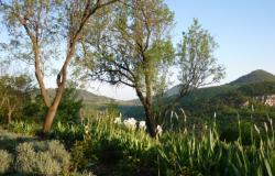 Euganean Hills- ‘The tower’, a historic building in a stunning setting! ref.90 11