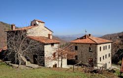 Il Vigno  0