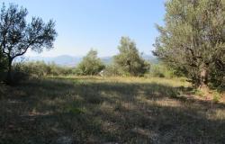 Panoramic spot to build a 100sqm villa with 3000sqm of olive grove, views of the mountains and a distant lake.  0