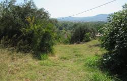 160sqm, detached, habitable, farmhouse of 100 years old with 2 out buildings and 1000sqm of land.  1