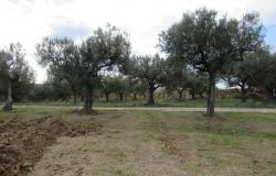 36,000 sqm of land with 120sqm barn and amazing sea views and building rights 1km to the beach. 7