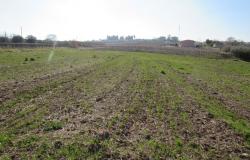 Flat building land of 12000sqm with sea and mountain view 1km from the town, 15 minutes to the beach. 7