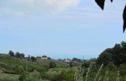Detached, two bedroom, house with 6000sqm of land, sea views 1km from the town center. 3