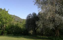 Castelnuovo- new country home with swimming pool. ref.95 9