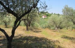 7000sqm of building plot with olive grove for a villa of 500sqm with mountain, town and some sea views. 0