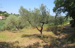 7000sqm of building plot with olive grove for a villa of 500sqm with mountain, town and some sea views. 3
