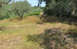 7000sqm of building plot with olive grove for a villa of 500sqm with mountain, town and some sea views. 4
