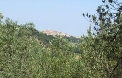 7000sqm of building plot with olive grove for a villa of 500sqm with mountain, town and some sea views. 8