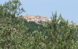 7000sqm of building plot with olive grove for a villa of 500sqm with mountain, town and some sea views. 9