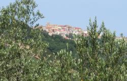 7000sqm of building plot with olive grove for a villa of 500sqm with mountain, town and some sea views. 10