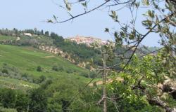 7000sqm of building plot with olive grove for a villa of 500sqm with mountain, town and some sea views. 15