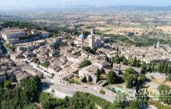 Loving Assisi - 7JGU 0