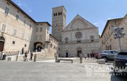 Loving Assisi - 7JGU 9