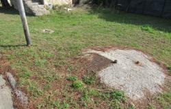 Countryside single floor cottage with 800sqm of garden with olives 2km to historic Crecchio. 3