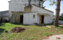 Countryside single floor cottage with 800sqm of garden with olives 2km to historic Crecchio. 4