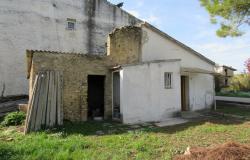 Countryside single floor cottage with 800sqm of garden with olives 2km to historic Crecchio. 5