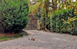 Exquisite Langhe country estate, with park / ALN022 22