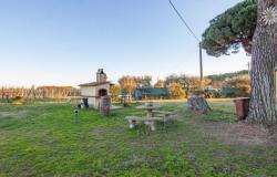 Stone farmhouse with large park, Castiglione del Lago Rif. CDL6121M 20