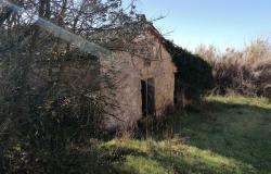 Farmhouse and outbuildings to restore 1