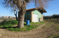 Farmhouse, detached and habitable, with 1700sqm of flat land, terrace and barn, amazing views, 15 minutes to the beach. 4