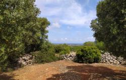 Sea-view plot of land with planning permit. 4