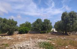 Sea-view plot of land with planning permit. 5