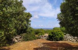 Sea-view plot of land with planning permit. 6