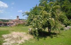 country house for sale in langhe area