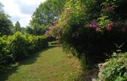 country house for sale in langhe area