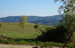 Tuscany- Pratovecchio (AR). Beautiful farmhouse with 10 hectares of land.  Ref. 09t 13