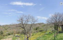 Portion of farmhouse in panoramic location, San Venanzo Rif. OR341M 12