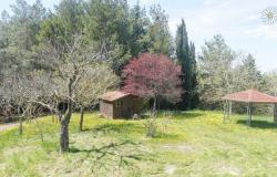 Portion of farmhouse in panoramic location, San Venanzo Rif. OR341M 9
