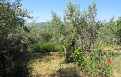 Stone, detached cottage with 1800sqm of land and amazing mountain views with building rights. 11