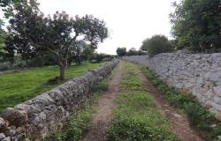 Scicli, exposed stones in contrada Calamarieri 74