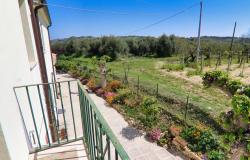Casalbordino, the Giant's farmhouse 60