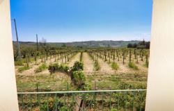 Casalbordino, the Giant's farmhouse 59