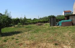 3 bedroom, habitable farmhouse, barn, outbuilding and 2000sqm of fruit trees 1km to town. 14