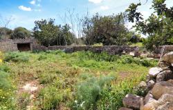 Scicli, stone farmhouse with land 20