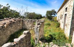 Scicli, stone farmhouse with land 18