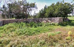 Scicli, stone farmhouse with land 19