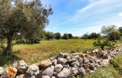 Scicli, stone farmhouse with land 41