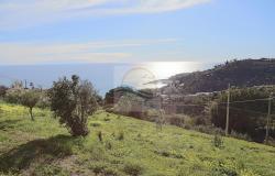 L941 Land for Sale in Bordighera, Montenero area, with a beautiful sea view. 0