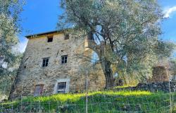 L1133 Rustic with sea view for sale in Bordighera - Sasso. 0