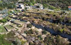 L1196  Plot of land with approved project for sale in Bordighera. 10