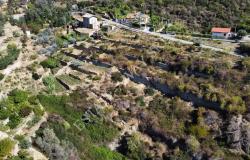L1196 Plot of land with approved project for sale in Bordighera. 11
